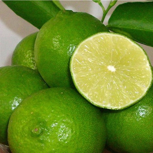 LIMÓN LIMA FRESCO SIN SEMILLAS de Vietnam al por mayor - Product Image 2