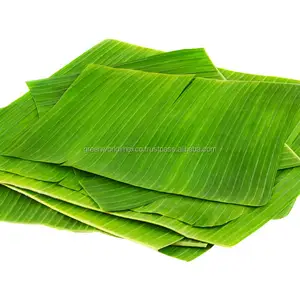 Hojas de plátano verde congelados, al mejor precio de VIETNAM, hojas de plátano frescas 100% naturales con alta calidad para muchos usos