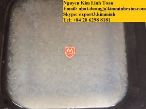 Envasado de Aloe Vera TRITURADO a granel en almíbar/agua - Product Image 5