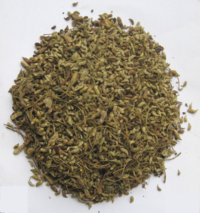 Sophora-Flor japonesa seca para vacaciones - Product Image 1