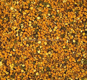 Pólen de Abeja de Alta Pureza, Grado Premium, Envasado al Vacío, Certificado HACCP e ISO Ordene Ahora - Product Image 3