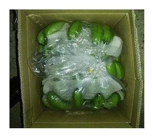 PLÁTANO CAVENDISH VERDE AL POR MAYOR/ MEJOR PRECIO - Product Image 4