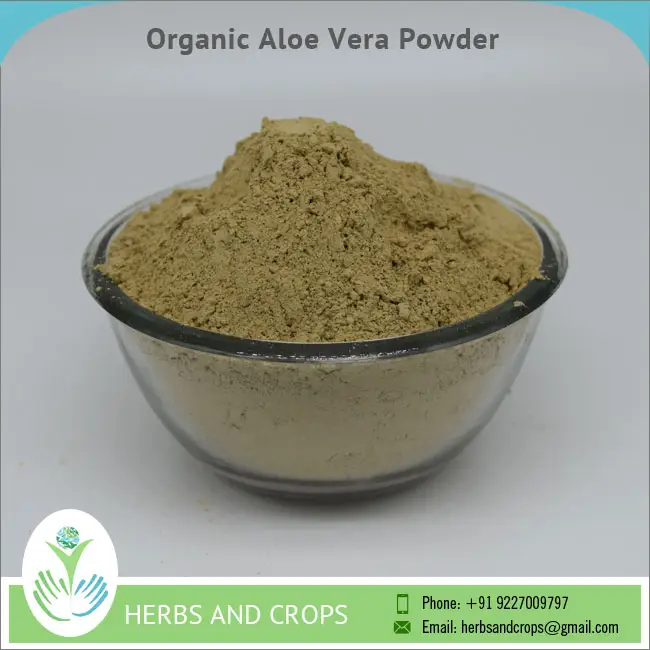 Organico Aloe Vera In Polvere