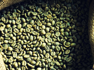 Granos de Café Robusta y Arábica Verdes de Sudáfrica - Tostados, Grado 1, Bolsas de 60 kg, Vida Útil de 24 Meses - Product Image 2