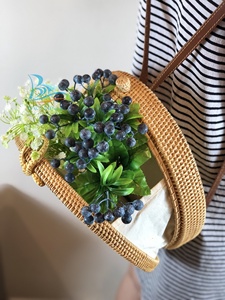 Meilleure Qualité Respectueux de L'environnement Rotin Lady Sac À Dos Du Vietnam Doublure En Coton De Gros-Contactez-nous au Meilleur Prix - Product Image 5