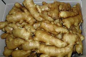 Jengibre Chino Fresco de Alta Calidad, Jengibre Viejo de 10 kg, Exportador para Uso Alimentario, Venta a Buen Precio - Product Image 4