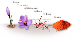 Affron Mogra Saffron — Isar global, taille pleine, extrait de kecar - Product Image 5