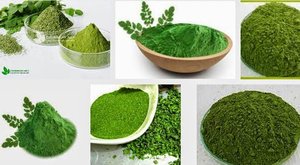 POLVO DE MORINGA - Product Image 2