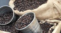 Mejor Café Verde Arábica Tostado de Primera Calidad, Mezcla Económica de Sudáfrica, Marca Arabica, Bolsa de 60 kg, 2 Años de Vida Útil