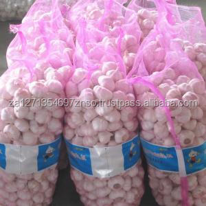 Ail rouge frais de qualité supérieure, paquet de 25 kg en provenance d'Afrique du Sud, durée de conservation de 2 ans - Product Image 2