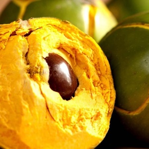 ข้อเสนอผลไม้ lucuma ออร์แกนิกจากเวียดนาม - Product Image 2