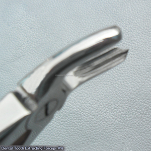 กรามบนซ้ายสกัดคีม18มะเดื่อ - Product Image 2