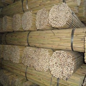 มาจากเวียดนาม: ไม้ไผ่ poles_high คุณภาพ - Product Image 4