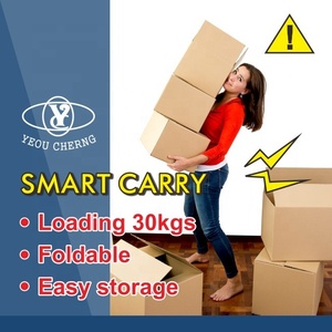 รถเข็นกระเป๋าพลาสติกพับได้ Eminent คู่หูการเดินทางที่สะดวกสบาย - Product Image 2