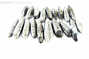 La piedra preciosa espiritual de la suerte protege de la enfermedad Orthoceras cabujón suelto religioso - Product Image 6