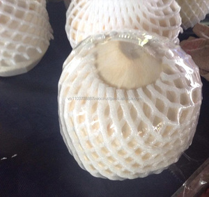 Noix de coco fraîche d'exportation/extraction d'eau de coco/noix de coco fraîche du Vietnam en 2020 - Product Image 3