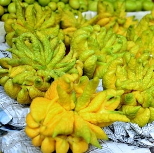 Buddah Fingers ส้ม - Product Image 4