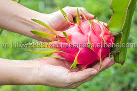 Fruit du dragon frais de haute qualité - Product Image 4