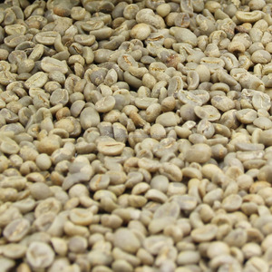 Grãos de café árabes premium para comprador de café e chocolate - Product Image 3