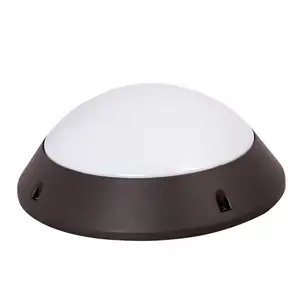 Samsung LED Chip Ceiling lamp