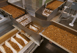 Amandes crues séchées de Californie de qualité supérieure, 25 kg/sac - Product Image 3