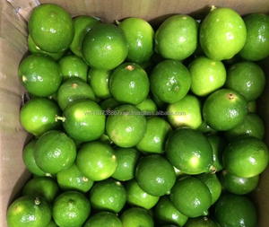 Limón fresco, limón fresco, cítricos verdes - Product Image 2