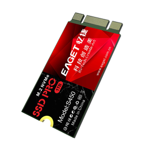 EAGET S450 M2 1TB PCIe NVMe 2242毫米M.2固态硬盘笔记本电脑固态硬盘 - Product Image 5
