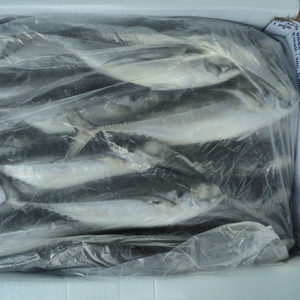 แปซิฟิกทะเลสดแช่แข็งอาหารทะเลปลาแมคเคอเรลที่มีราคาถูก - Product Image 2