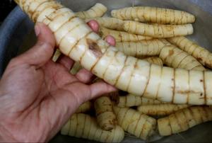 Fécule de manioc de qualité export au meilleur prix du Vietnam - Product Image 5