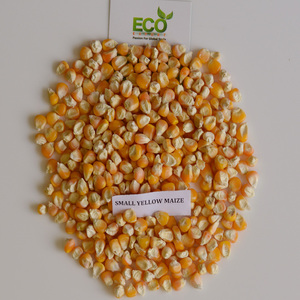 Grano de Maíz Amarillo Seco, Rico en Proteínas, Alimento para Animales y Consumo Humano, Empacado en Bolsa para Ganado - Product Image 4