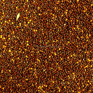 Semillas de calabaza de color blanco nieve comestible, chino, buena calidad - Product Image 4