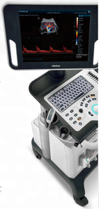 Mesin <span class=keywords><strong>Ultrasound</strong></span> Mindray DC-30 Tipe Troli dengan Doppler Warna dan Sertifikasi CE serta ISO - Product Image 4