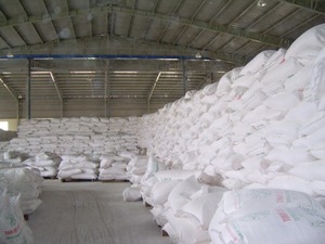 Harina de Tapioca Nativa en Bolsa, Grado Alimenticio, 50 kg, Buenos Precios - Product Image 2