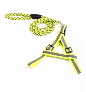 Collier réfléchissant pour chien de compagnie, combinaison de laisse puissante, pour chiens - Product Image 3