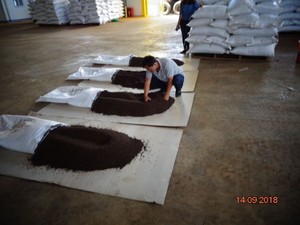 พริกไทยดำเวียดนามขายดี คุณภาพสูง เครื่องเทศรสเข้มข้น อบแห้ง ราคาส่ง - Product Image 5