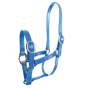Licol pour cheval en PVC, imperméable et résistant |   Collier de tête réglable avec des attaches métalliques et des attaches en acier inoxydable - Product Image 5