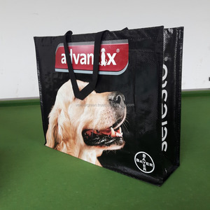 Bolsas de Compras de Polipropileno Tejido, Bolsas de Belleza, Color Personalizado, Construcción con Ribete en U, Asas de Cinta de Polipropileno, Vietnam Evergreen - Product Image 1