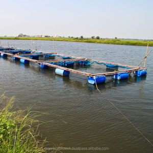 Producto biológico para estanque de peces koi, descodificador de lodos orgánicos - Product Image 6