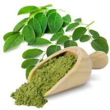 Vietnam al por mayor de alta calidad seca Moringa en polvo mejor precio por el fabricante Vietdelta - Product Image 2