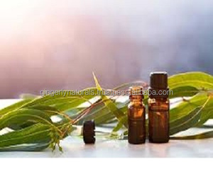 Aceite esencial de eucalipto puro en embalaje personalizado - Product Image 4