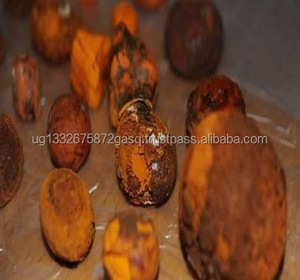 Pierres biliaires de boeuf de la meilleure qualité | Calculs biliaires de bétail | Certifié GMP | Origine ougandaise - Product Image 3
