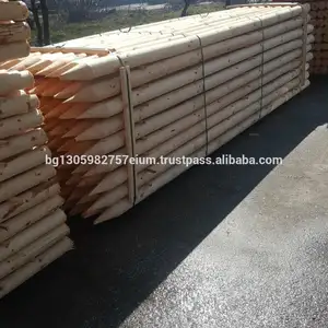 Sharp Point bastones de madera para viñedos coníferas, enlatados e impregnados por vacío de alta presión