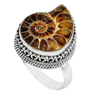 Magnífico amonita fósiles de piedras preciosas hecho a mano anillo de joyería de tamaño 6,5 - Product Image 3