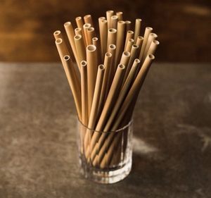 NATURAL <b>BAMBOO</b> DRINKING <b>STRAW</b> WITH BRUSH - Product Image 1