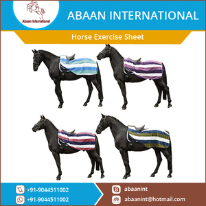 Fabricante Mayorista de Mantas de Ejercicio para Caballos de Alta Calidad Modelo AIES-003 Primavera y Otoño - Product Image 6