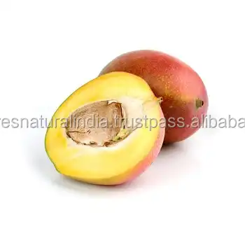 Mango Seed (Mangifera indica) 100% Pure & Natural Carrier Oil