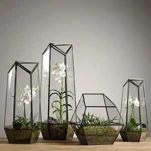 Terrario de vidrio de alta calidad, jarrones de vidrio con forma geométrica para plantas en tamaños personalizados y diseño para decoración de sala de estar
