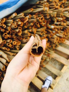 Rouleau de cannelle / Bâtonnets de cannelle de Cassia / Cannelle coupée Usine du Vietnam - Product Image 4