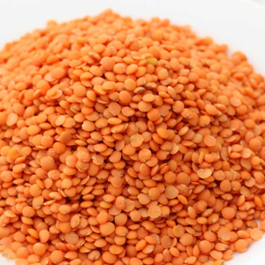 High Quality South Africa <b>Red</b> Lentils / Split <b>Red</b> Lentils Bulk Dried Available for Sale at Low Price. Hot Sale - Product Image 2