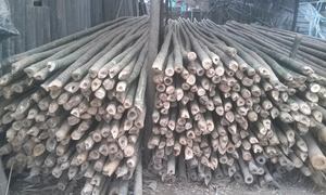 TAM VONG BAGUES EN BAMBOU SOLIDE - Product Image 4